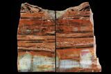 Tall, Colorful Petrified Wood Bookends - Arizona #95976-1